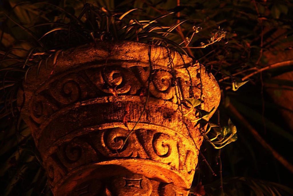 Hotel La Hacienda Cancun- El Ramonal, Monkey Sanctuary Exteriér fotografie