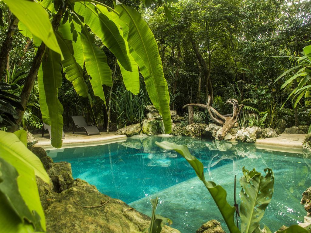 Hotel La Hacienda Cancun- El Ramonal, Monkey Sanctuary Exteriér fotografie